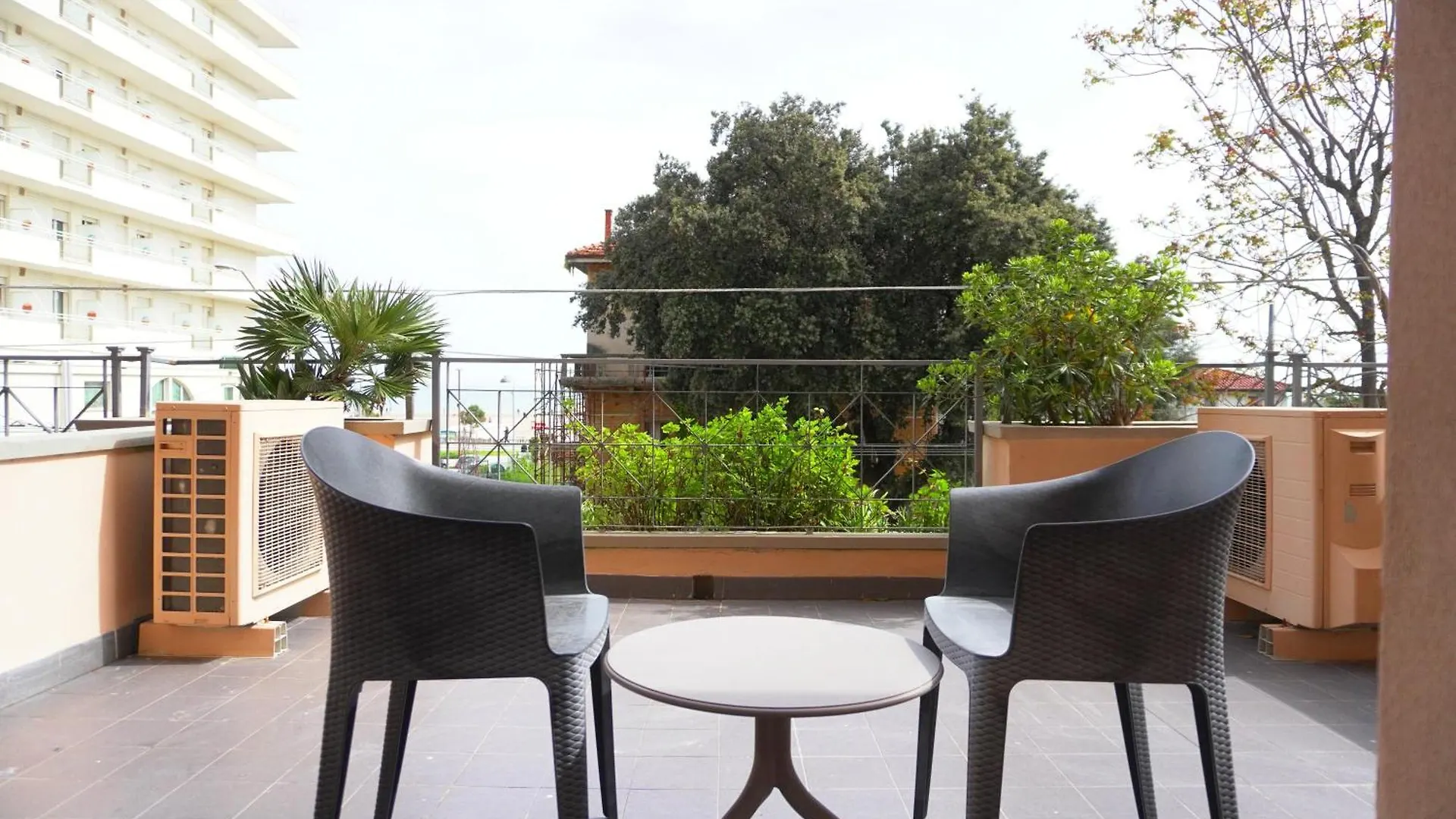 Hotel Nettunia Rimini