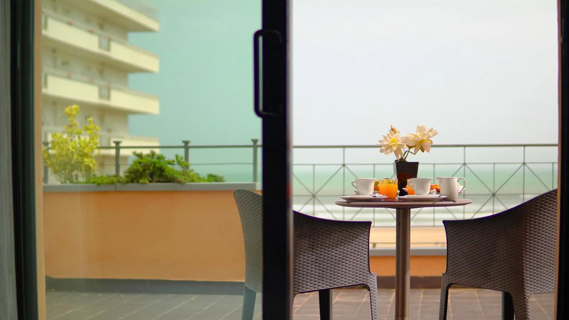 Hotel Nettunia Rimini
