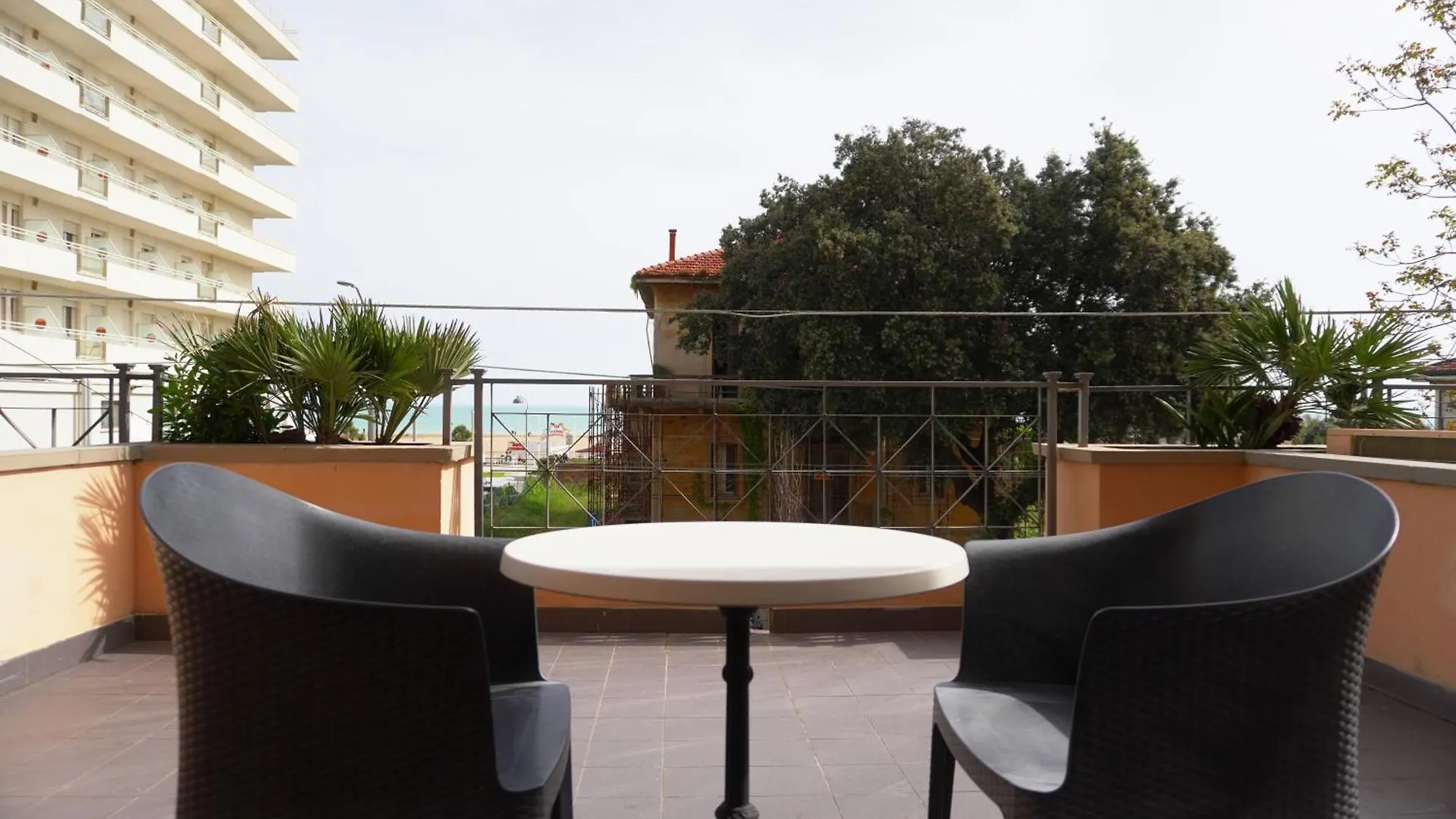 Hotel Nettunia Rimini