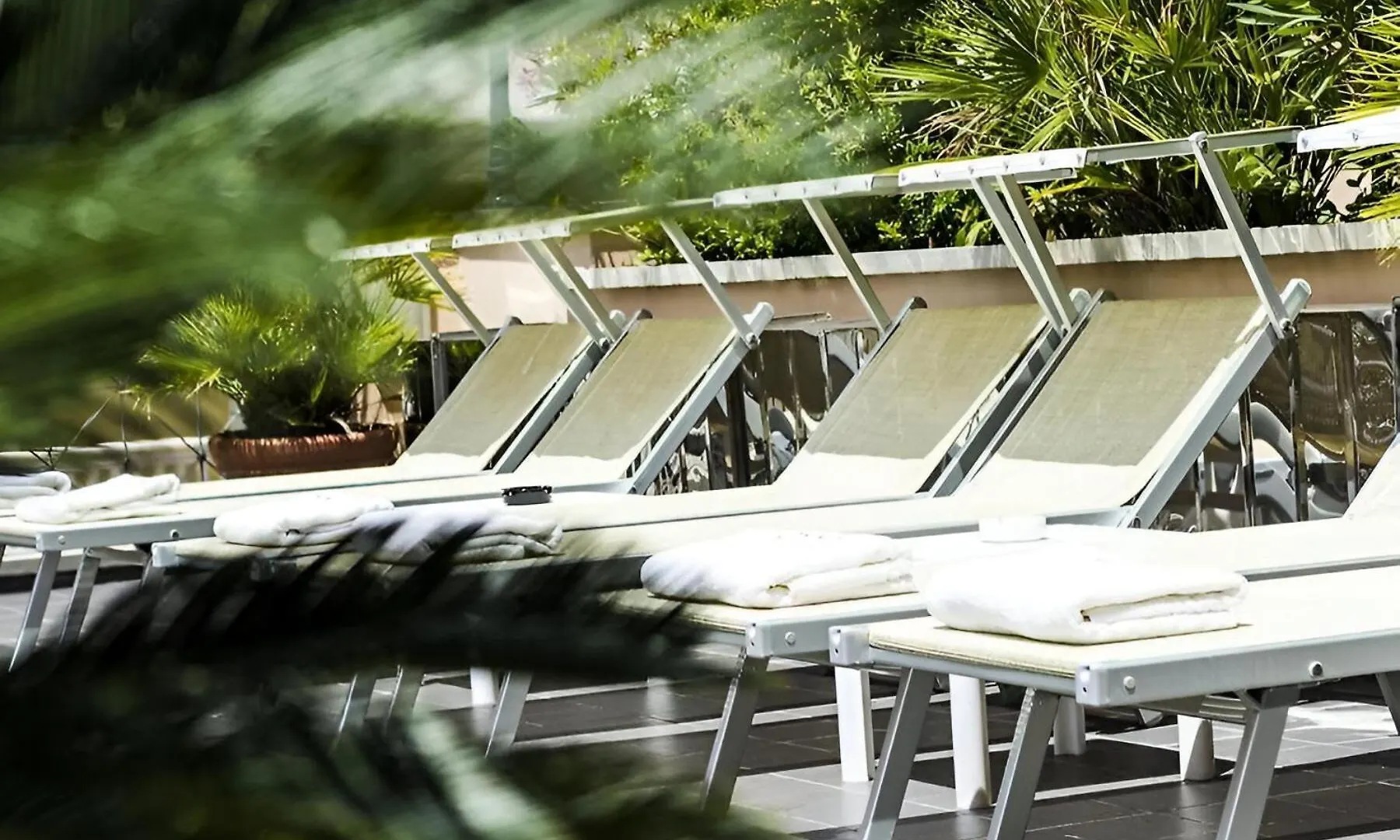 Hotel Nettunia Rimini